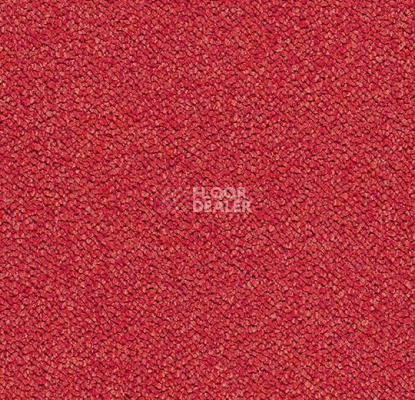 Ковровая плитка Forbo Tessera Chroma 3626 Cardinal фото 1 | FLOORDEALER
